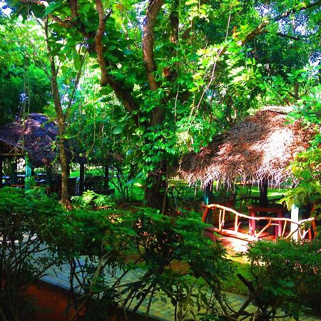Pelwehera Village Resort Dambulla Εξωτερικό φωτογραφία