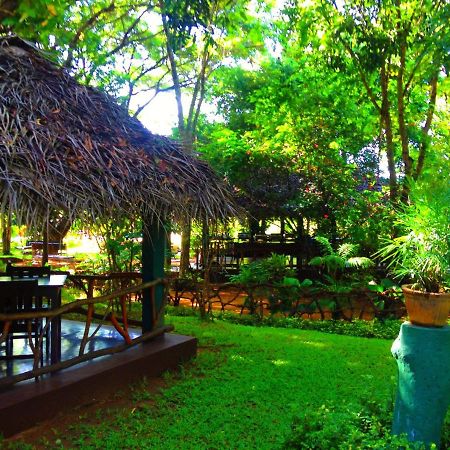 Pelwehera Village Resort Dambulla Εξωτερικό φωτογραφία