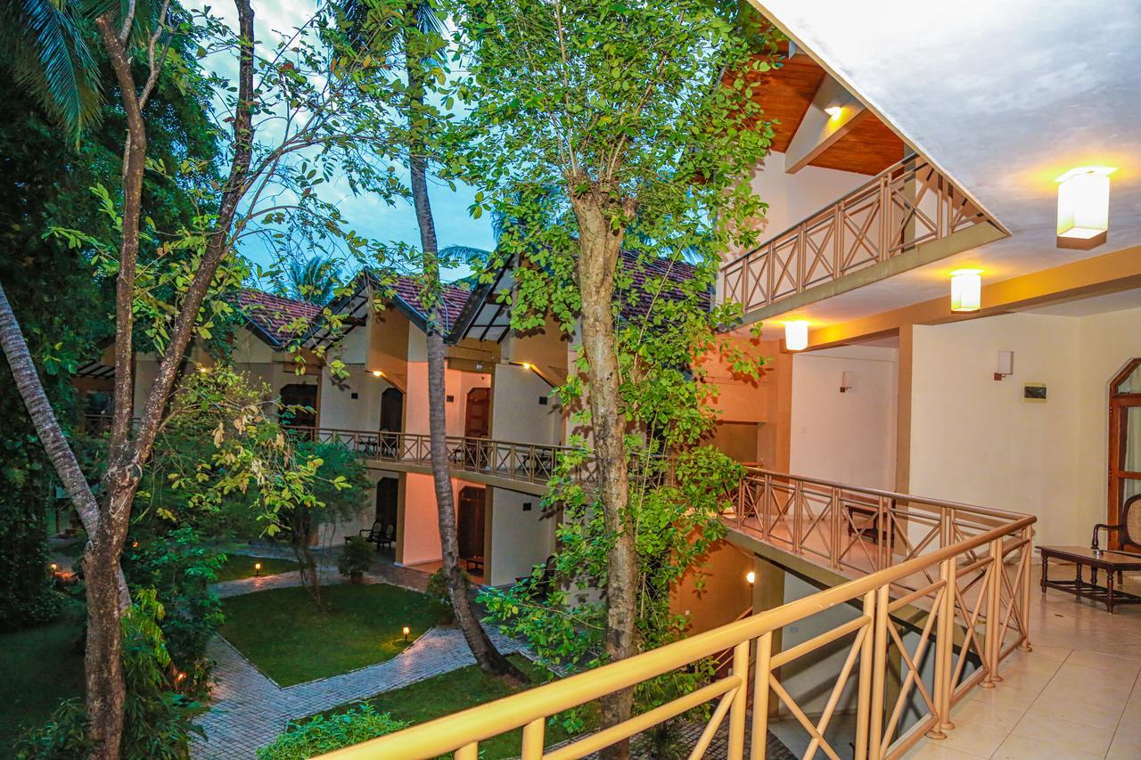 Pelwehera Village Resort Dambulla Εξωτερικό φωτογραφία