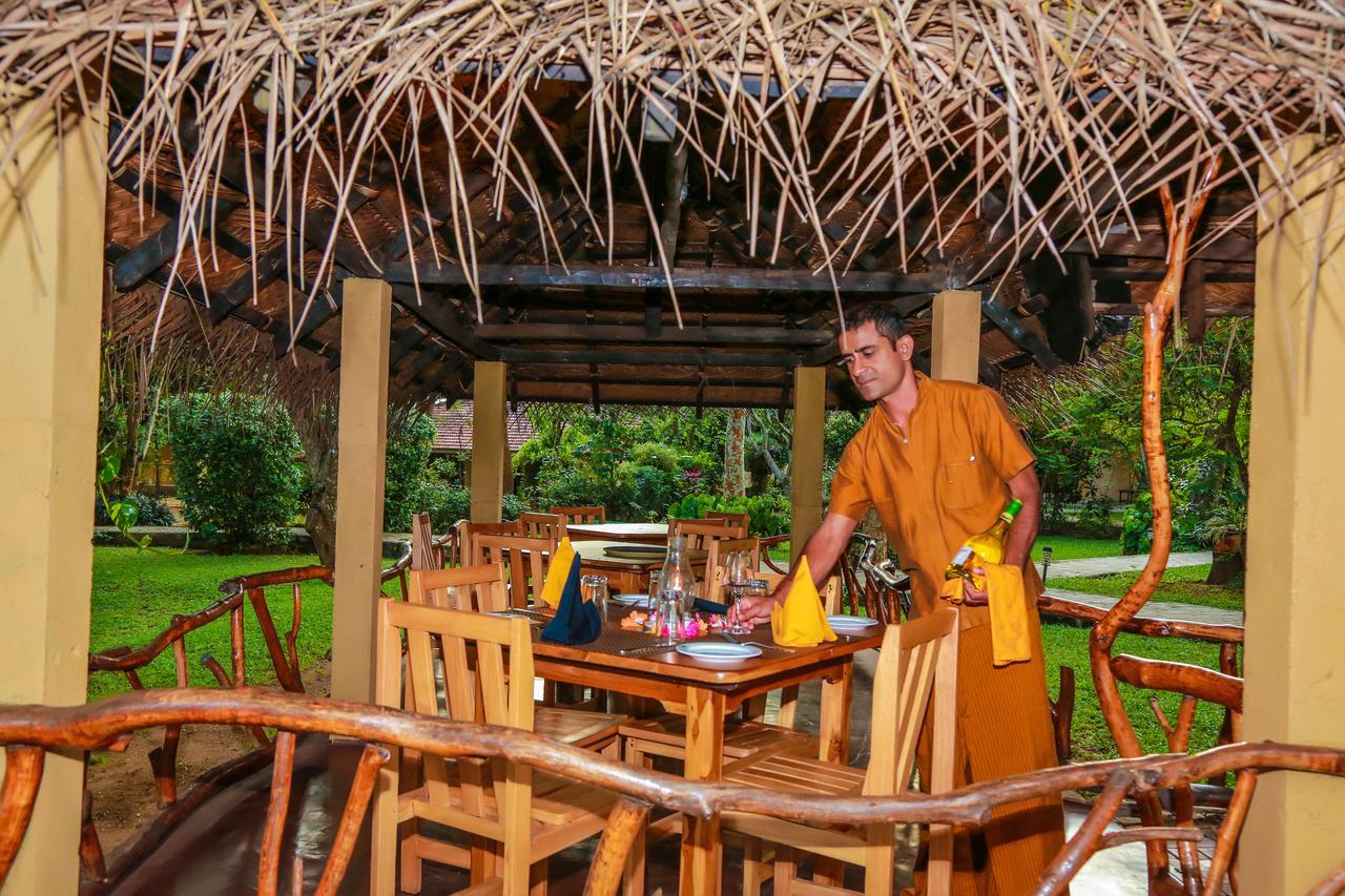Pelwehera Village Resort Dambulla Εξωτερικό φωτογραφία