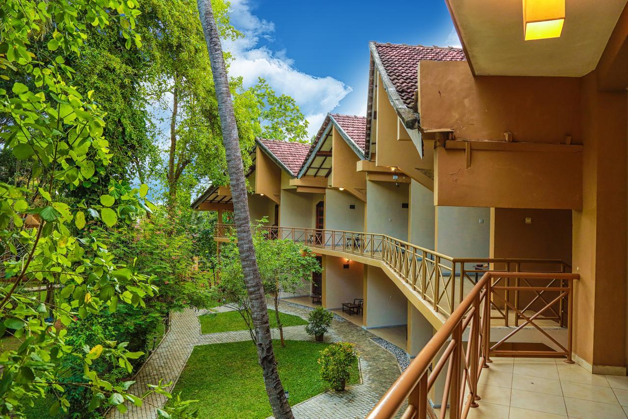 Pelwehera Village Resort Dambulla Εξωτερικό φωτογραφία