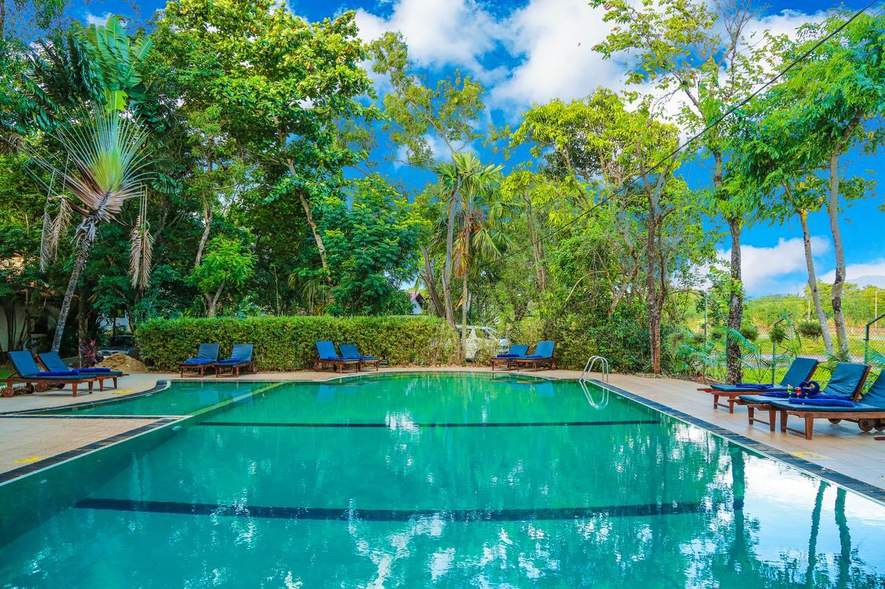 Pelwehera Village Resort Dambulla Εξωτερικό φωτογραφία