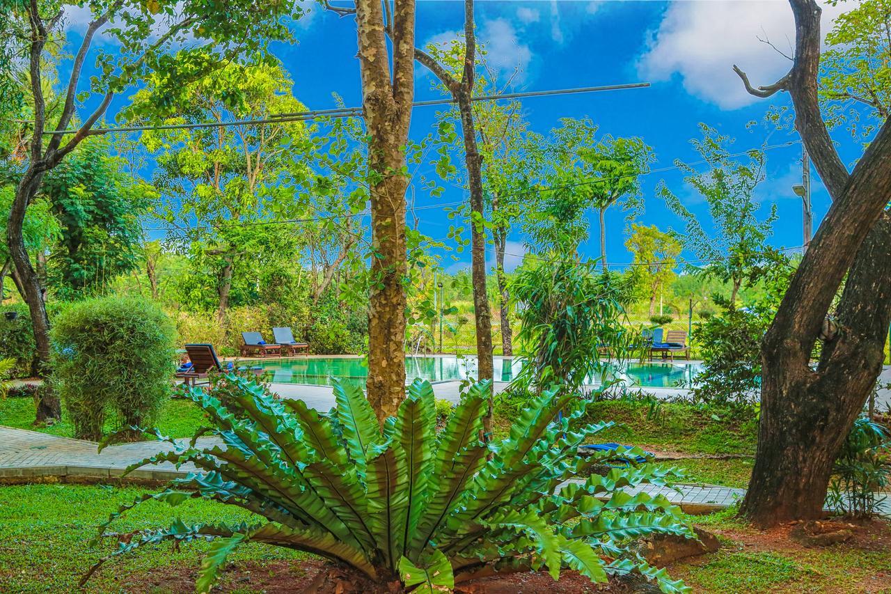 Pelwehera Village Resort Dambulla Εξωτερικό φωτογραφία