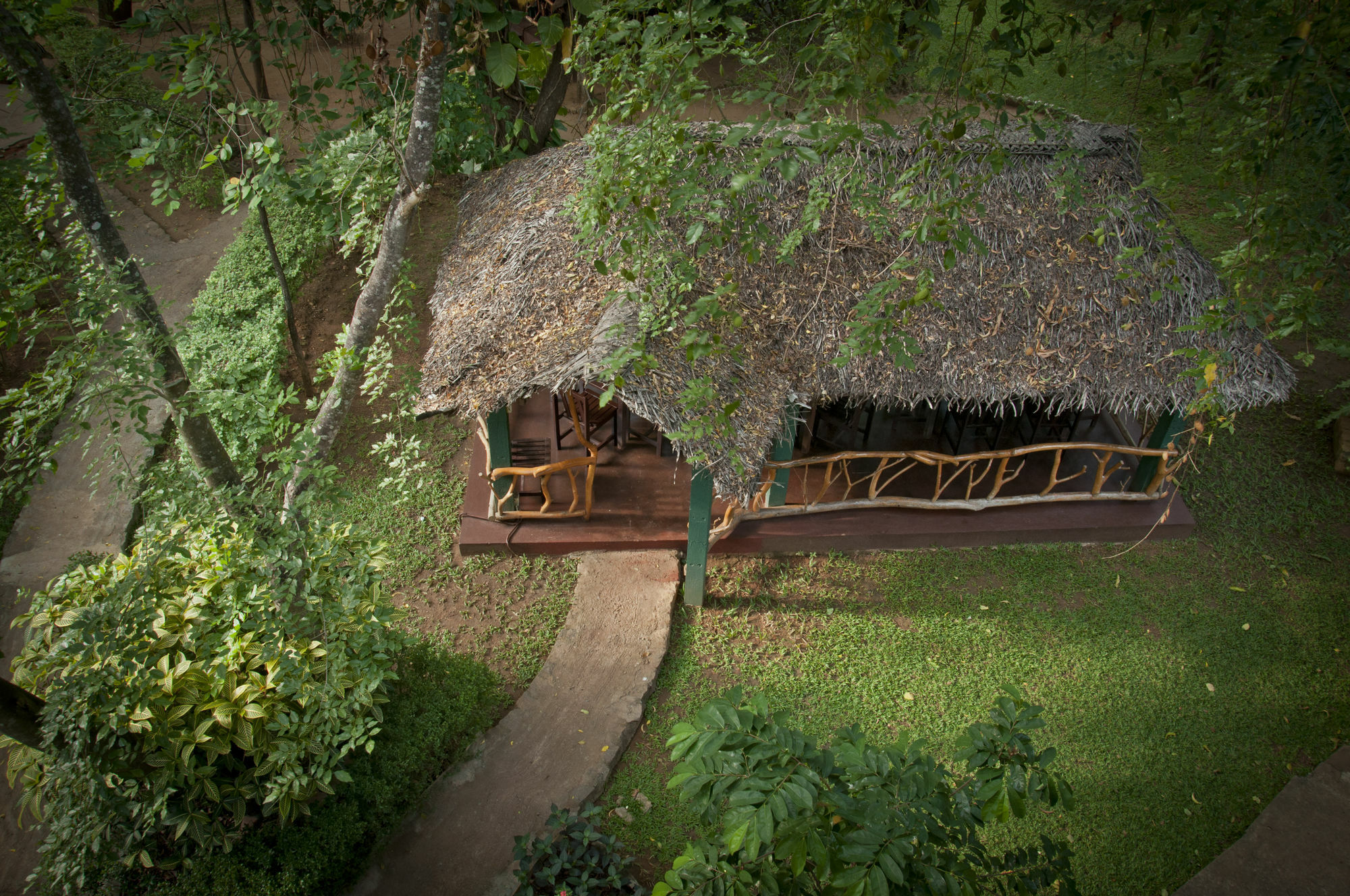 Pelwehera Village Resort Dambulla Εξωτερικό φωτογραφία