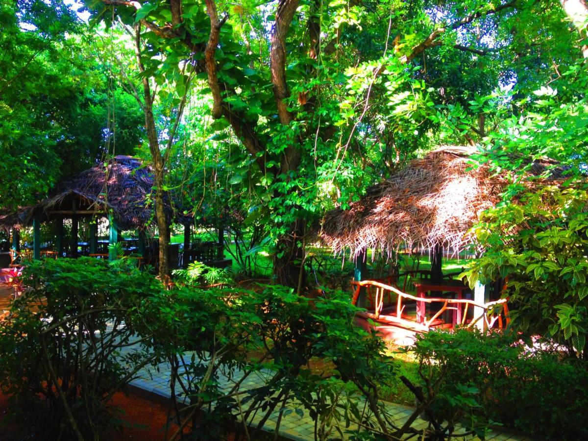 Pelwehera Village Resort Dambulla Εξωτερικό φωτογραφία