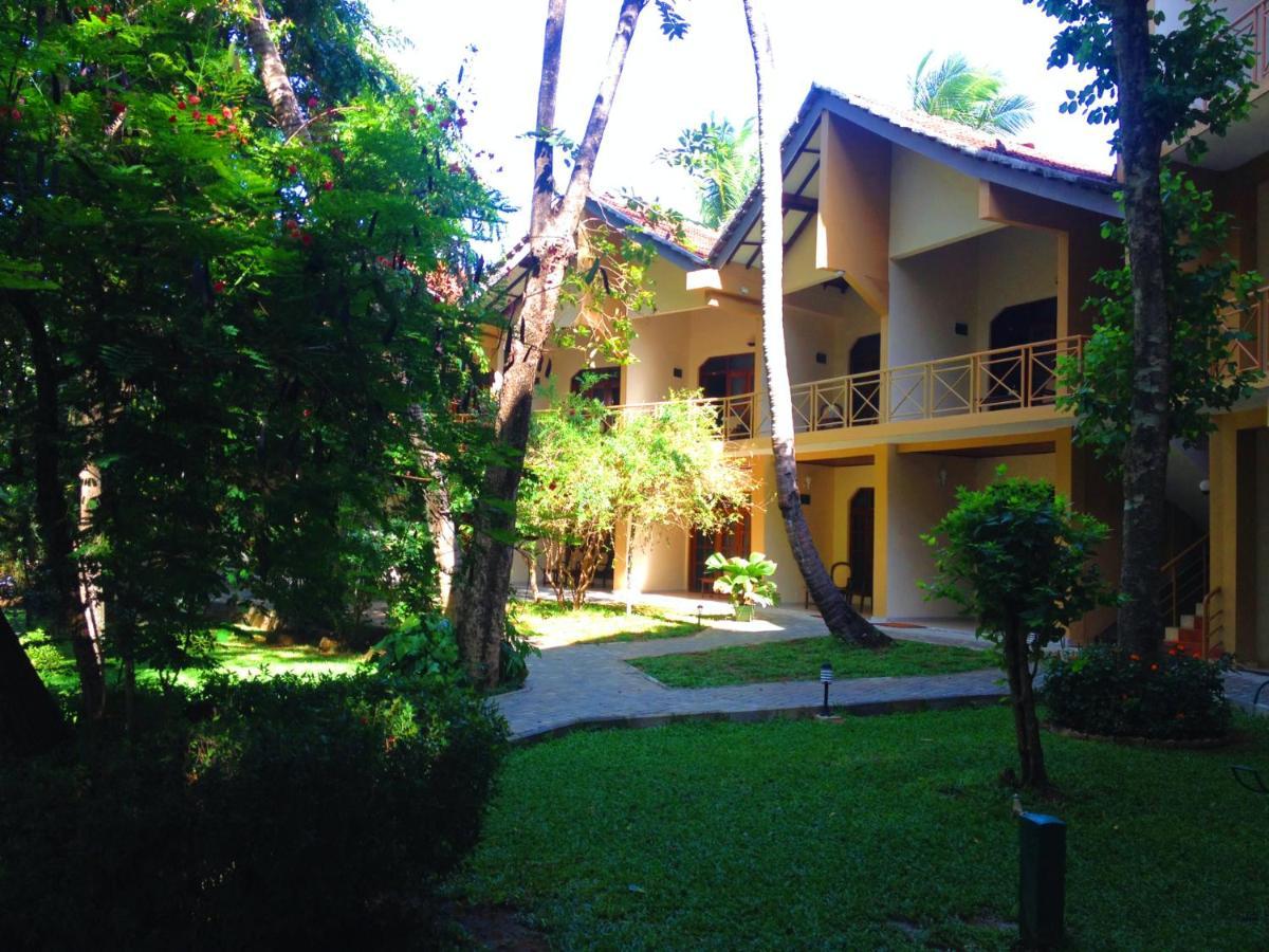 Pelwehera Village Resort Dambulla Εξωτερικό φωτογραφία